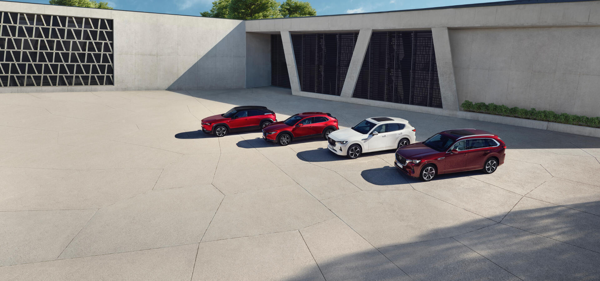 ontdek ons breed aanbod mazda stock- en occasiewagens